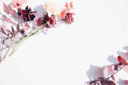 ads-image-1599x1066-art-border-card-2395249_1